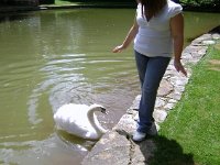 photos 2000-200901809